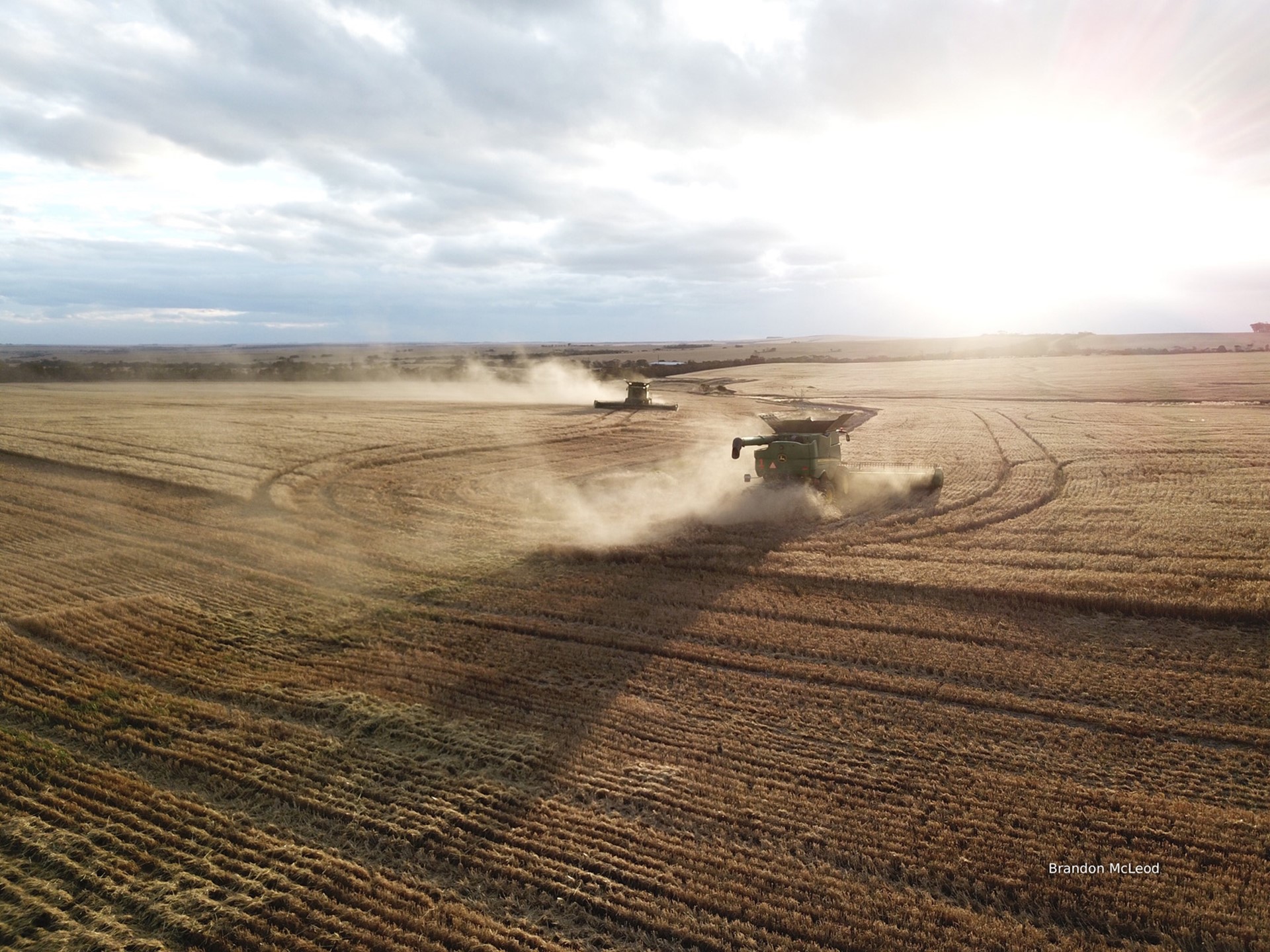 Picture: Refresh 2026 - Wheat